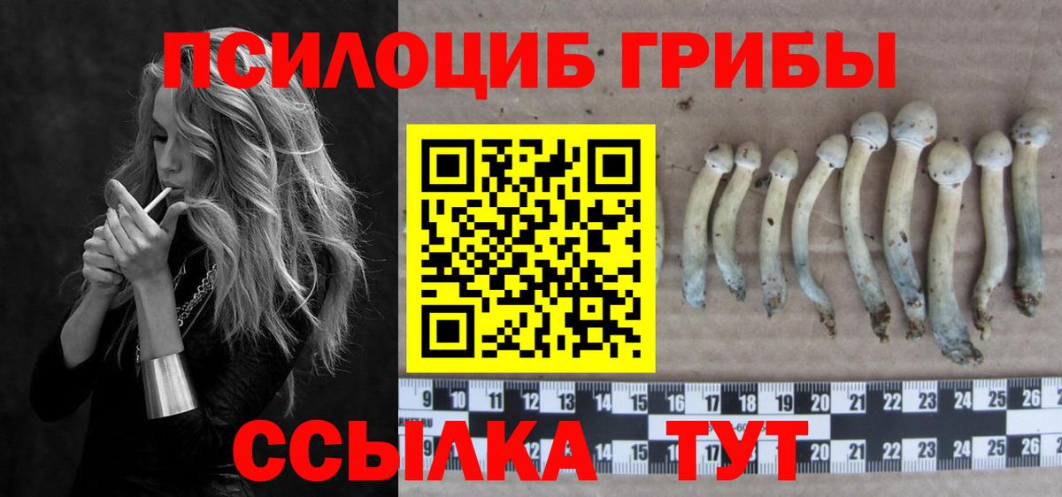 продажа наркотиков  Псилоцибиновые грибы Magic Shrooms  Вход с VPN  Псилоцибиновые грибы прущие грибы  Владимир 