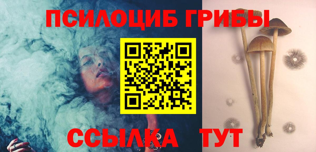 Псилоцибиновые грибы MAGIC MUSHROOMS Владимир